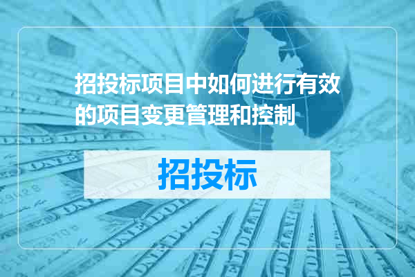 招投标项目中如何进行有效的项目变更管理和控制