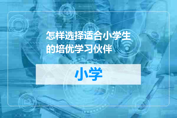 怎样选择适合小学生的培优学习伙伴