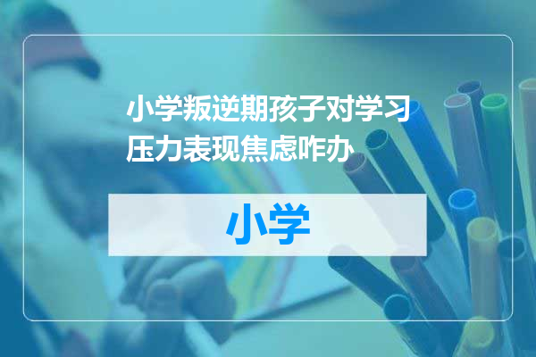 小学叛逆期孩子对学习压力表现焦虑咋办