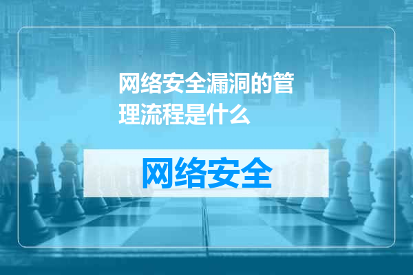 网络安全漏洞的管理流程是什么