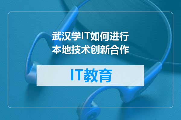 武汉学IT如何进行本地技术创新合作