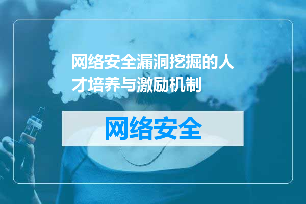 网络安全漏洞挖掘的人才培养与激励机制