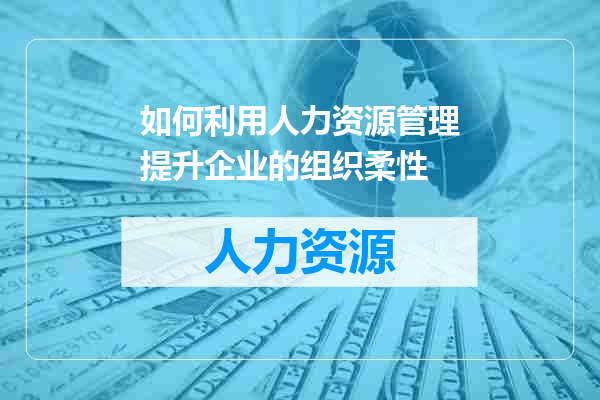 如何利用人力资源管理提升企业的组织柔性