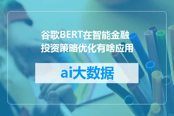 谷歌BERT在智能金融投资策略优化有啥应用