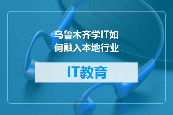 乌鲁木齐学IT如何融入本地行业