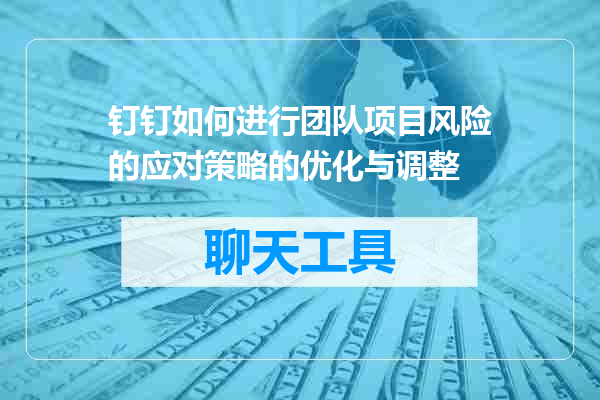 钉钉如何进行团队项目风险的应对策略的优化与调整