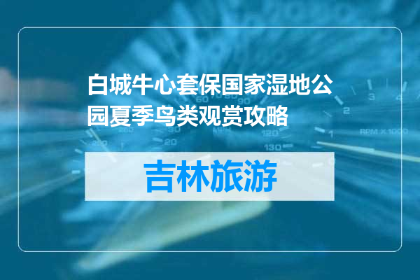 白城牛心套保国家湿地公园夏季鸟类观赏攻略