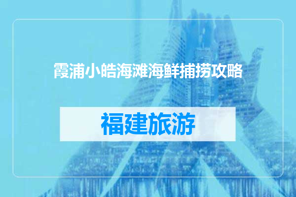 霞浦小皓海滩海鲜捕捞攻略
