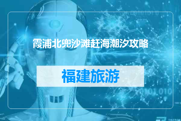 霞浦北兜沙滩赶海潮汐攻略