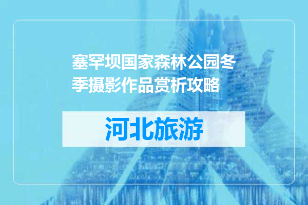 塞罕坝国家森林公园冬季摄影作品赏析攻略