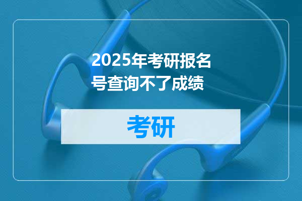 2025年考研报名号查询不了成绩
