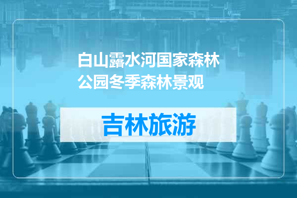 白山露水河国家森林公园冬季森林景观