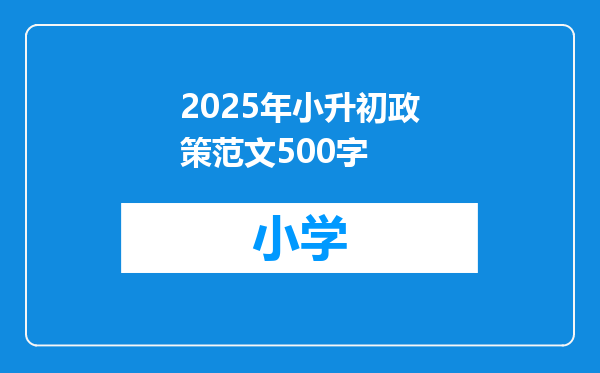 2025年小升初政策范文500字