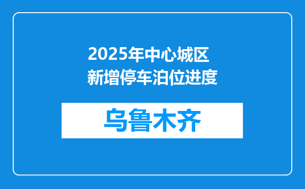 2025年中心城区新增停车泊位进度