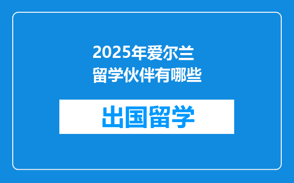 2025年爱尔兰留学伙伴有哪些