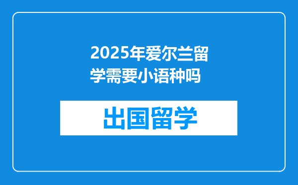 2025年爱尔兰留学需要小语种吗