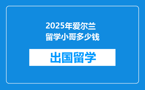 2025年爱尔兰留学小哥多少钱