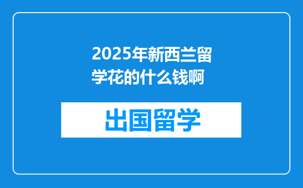 2025年新西兰留学花的什么钱啊