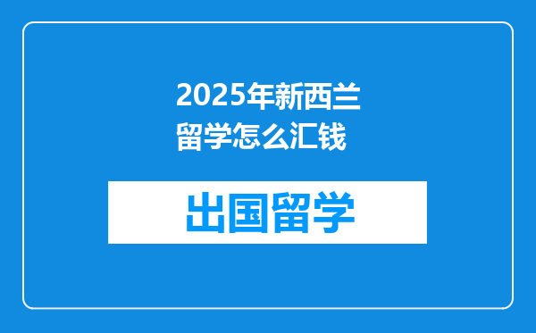2025年新西兰留学怎么汇钱