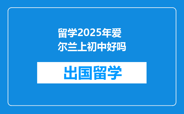 留学2025年爱尔兰上初中好吗
