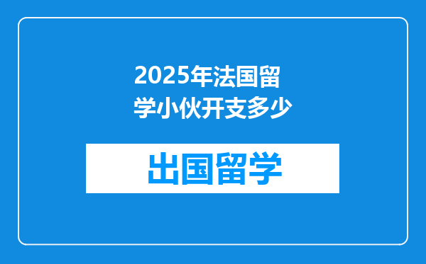 2025年法国留学小伙开支多少