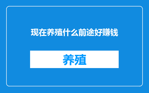 现在养殖什么前途好赚钱