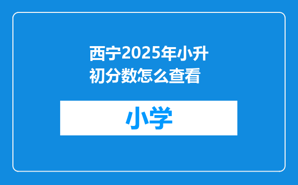 西宁2025年小升初分数怎么查看