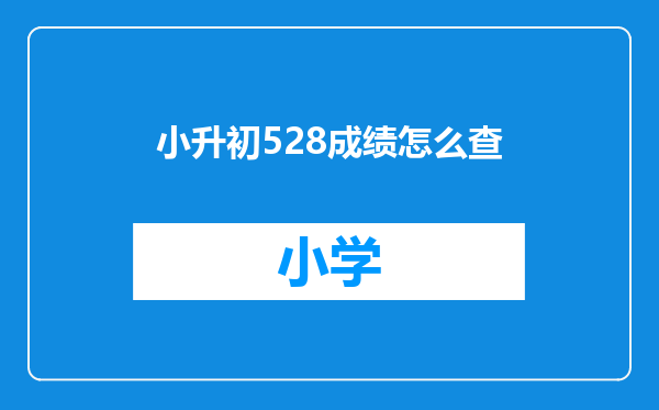 小升初528成绩怎么查