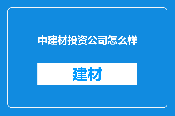 中建材投资公司怎么样