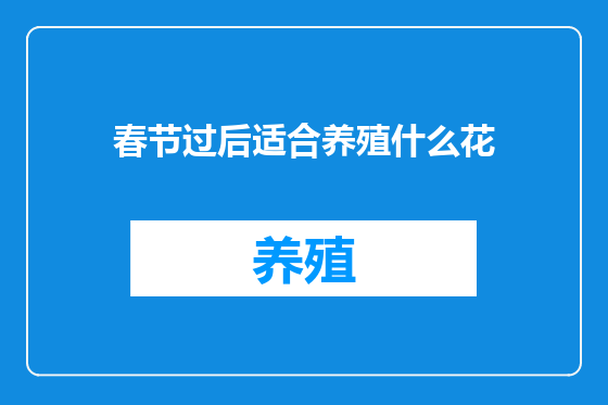 春节过后适合养殖什么花
