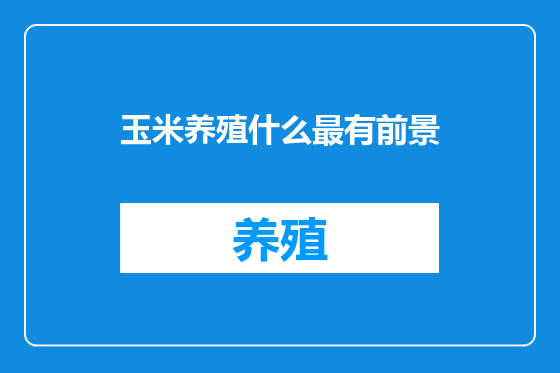 玉米养殖什么最有前景