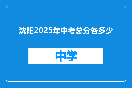 沈阳2025年中考总分各多少