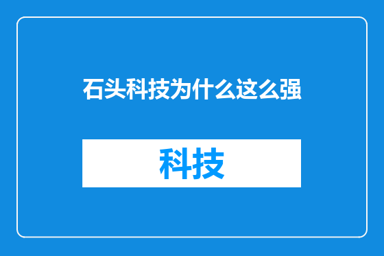 石头科技为什么这么强