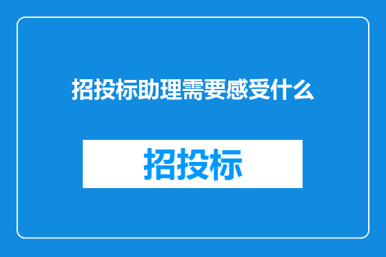 招投标助理需要感受什么