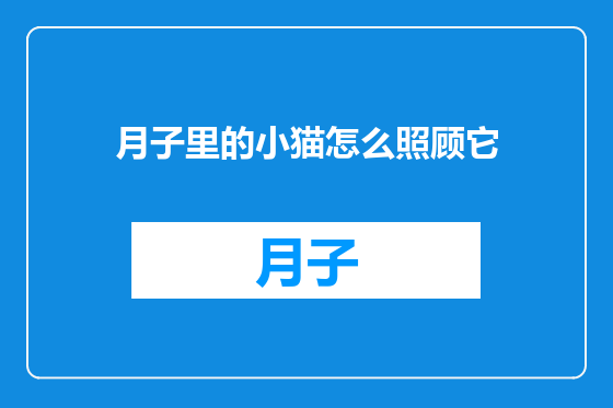 月子里的小猫怎么照顾它