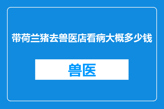 带荷兰猪去兽医店看病大概多少钱