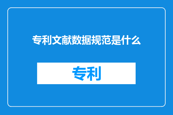 专利文献数据规范是什么
