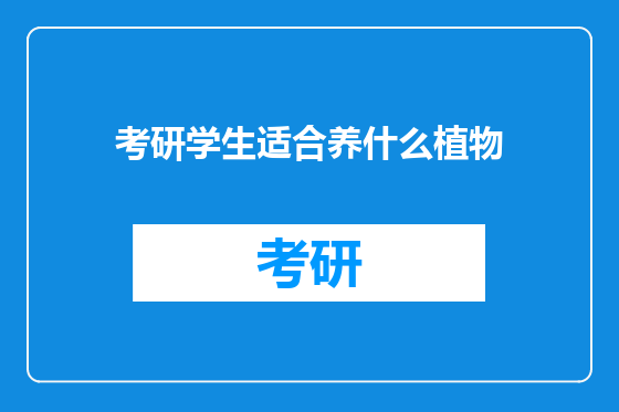 考研学生适合养什么植物