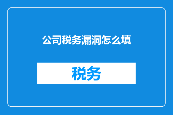 公司税务漏洞怎么填