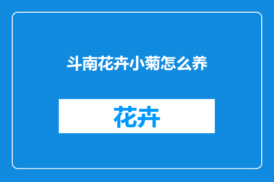斗南花卉小菊怎么养
