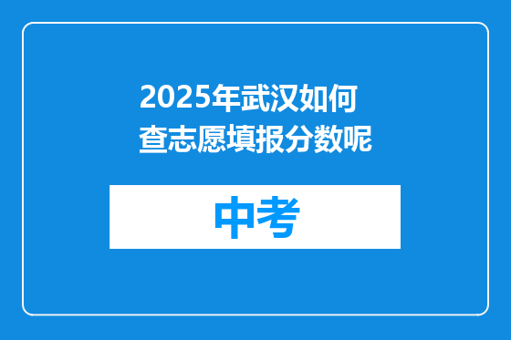2025年武汉如何查志愿填报分数呢