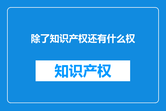 除了知识产权还有什么权
