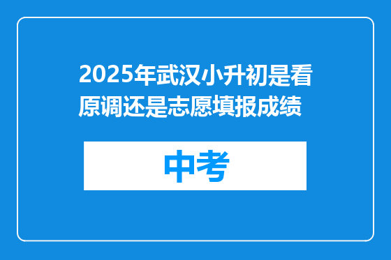 2025年武汉小升初是看原调还是志愿填报成绩