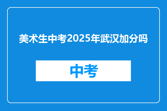 美术生中考2025年武汉加分吗