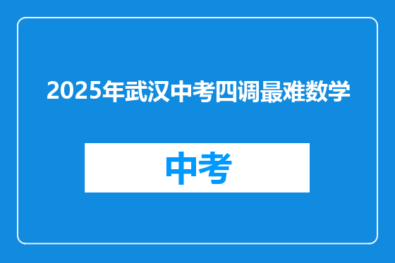 2025年武汉中考四调最难数学