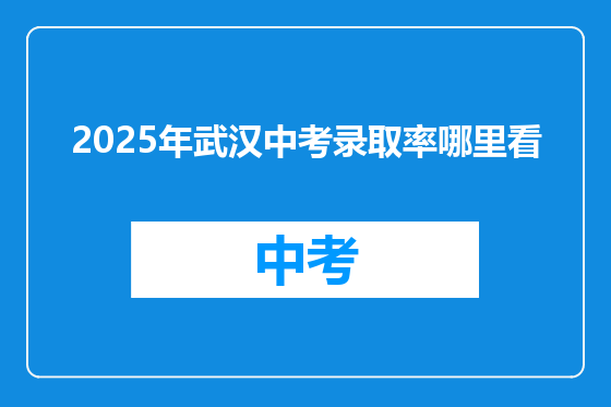 2025年武汉中考录取率哪里看
