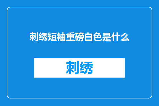 刺绣短袖重磅白色是什么