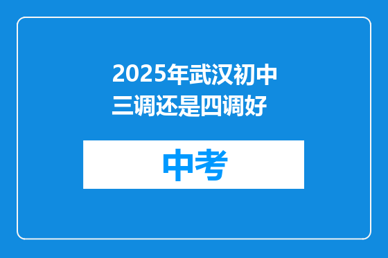 2025年武汉初中三调还是四调好