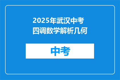 2025年武汉中考四调数学解析几何