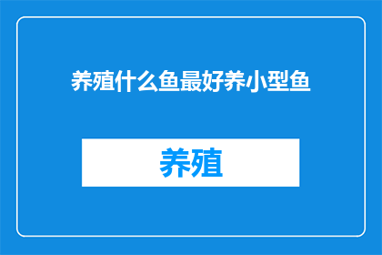 养殖什么鱼最好养小型鱼